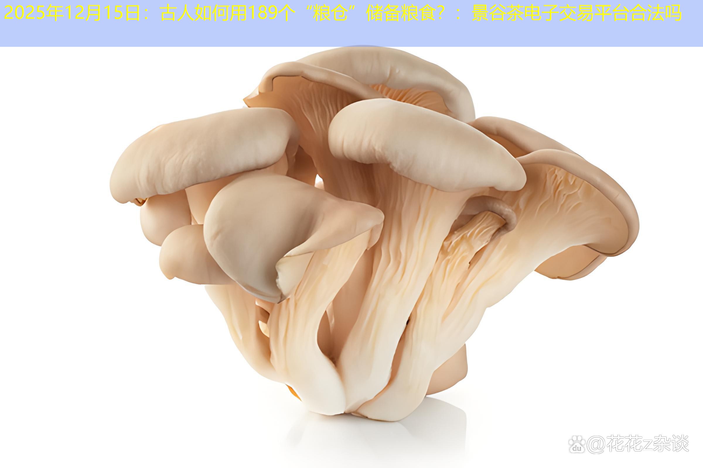 2025年12月15日：古人如何用189个“粮仓”储备粮食？