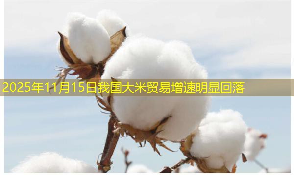 2025年11月15日我国大米贸易增速明显回落