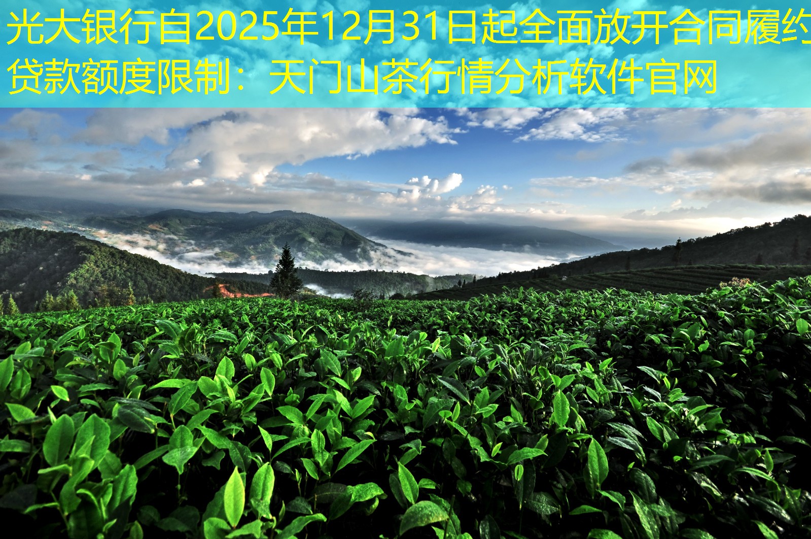 光大银行自2025年12月31日起全面放开合同履约贷款额度限制