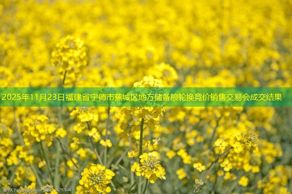2025年11月23日福建省宁德市蕉城区地方储备粮轮换竞价销售交易会成交结果