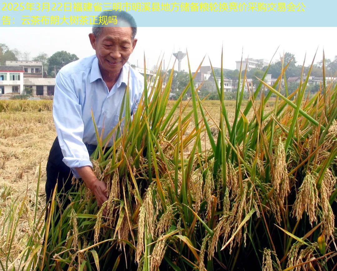 2025年3月22日福建省三明市明溪县地方储备粮轮换竞价采购交易会公告