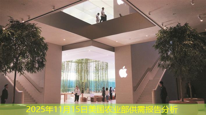 2025年11月15日美国农业部供需报告分析