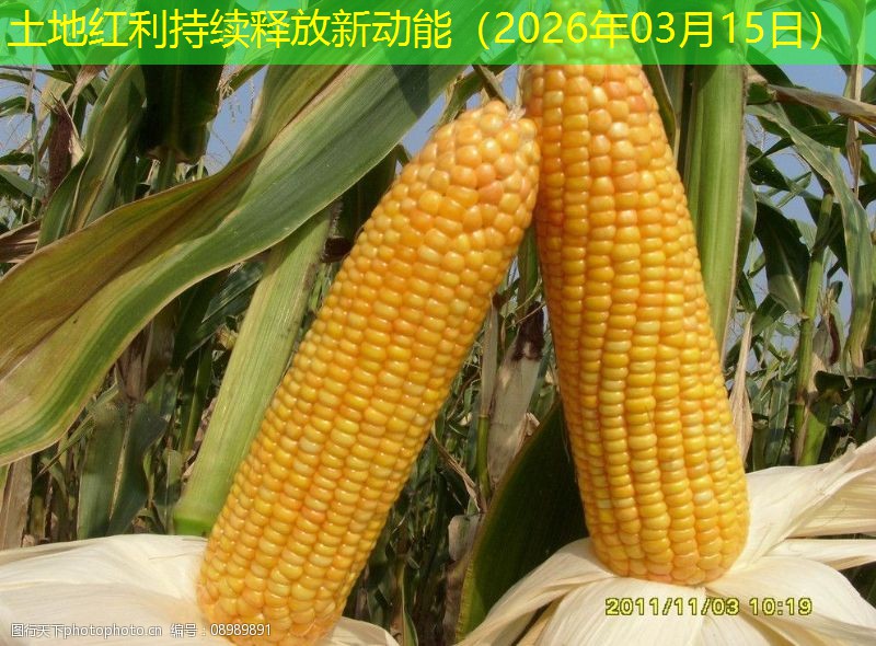 土地红利持续释放新动能（2026年03月15日）