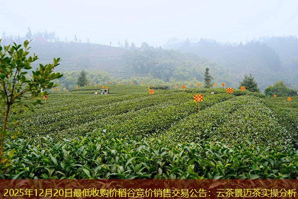 2025年12月20日最低收购价稻谷竞价销售交易公告