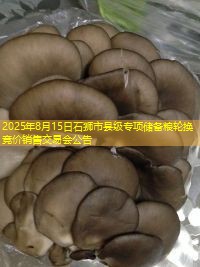 2025年8月15日石狮市县级专项储备粮轮换竞价销售交易会公告