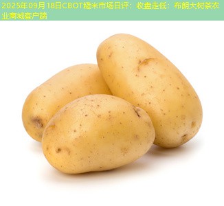 2025年09月18日CBOT糙米市场日评：收盘走低