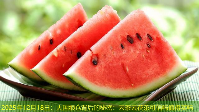 2025年12月18日：大国粮仓背后的秘密