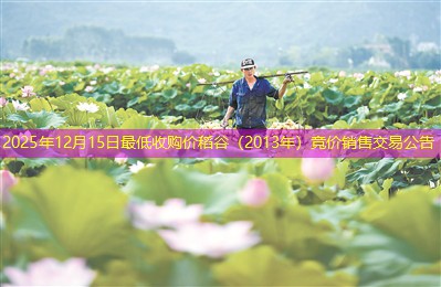 2025年12月15日最低收购价稻谷（2013年）竞价销售交易公告