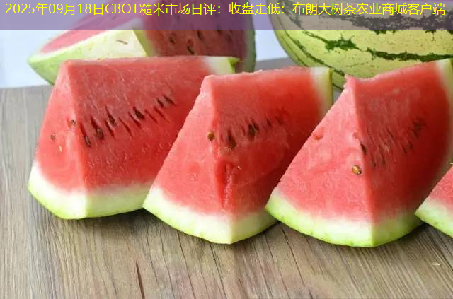2025年09月18日CBOT糙米市场日评：收盘走低