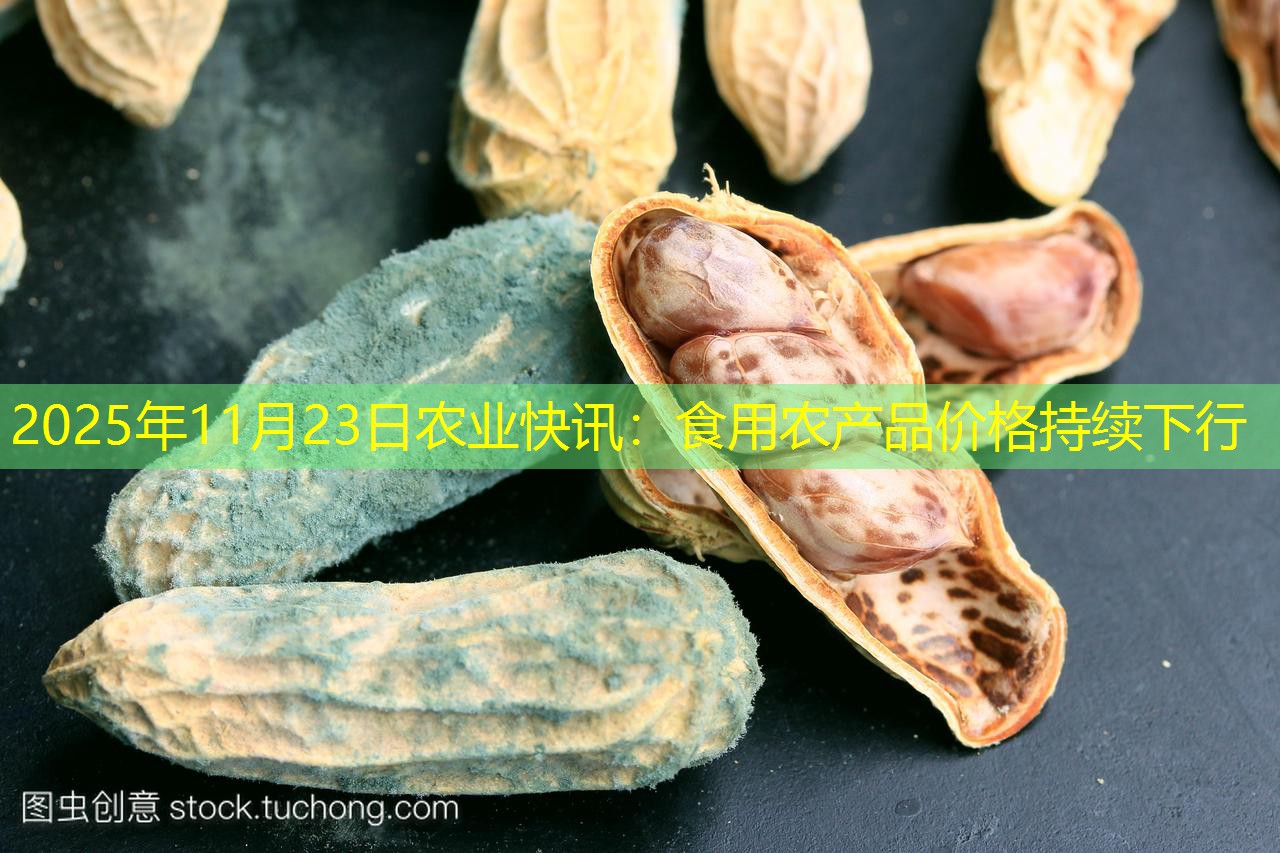 2025年11月23日农业快讯：食用农产品价格持续下行