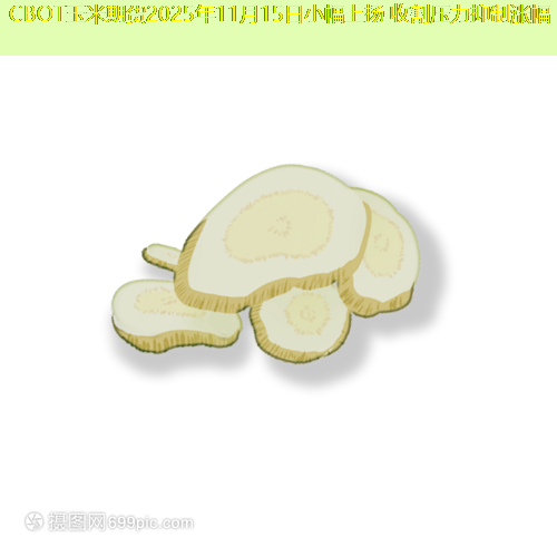 CBOT玉米期货2025年11月15日小幅上扬 收割压力抑制涨幅