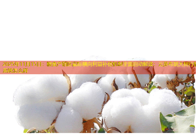 2025年11月15日：粮食产销区省际横向利益补偿机制全面启动解读