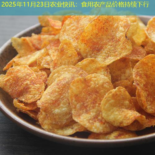 2025年11月23日农业快讯：食用农产品价格持续下行