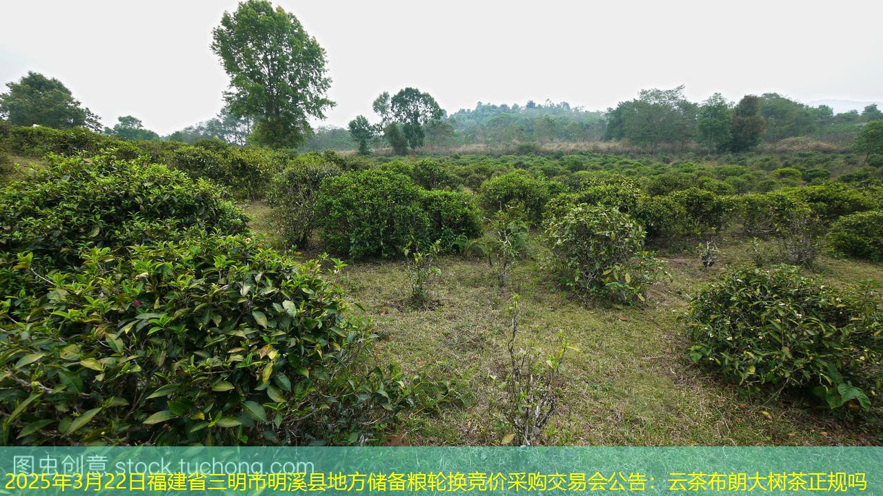 2025年3月22日福建省三明市明溪县地方储备粮轮换竞价采购交易会公告