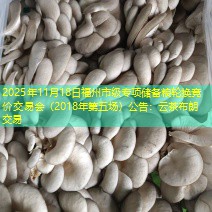 2025年11月18日福州市级专项储备粮轮换竞价交易会（2018年第五场）公告