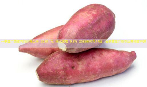 一季度广西猪肉均价每公斤 25.81 元 环比回落 8.2% 2025年07月14日