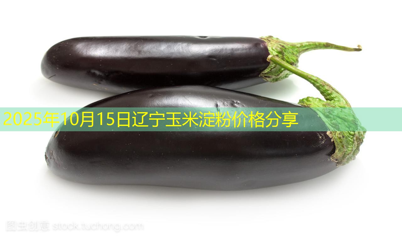 2025年10月15日辽宁玉米淀粉价格分享