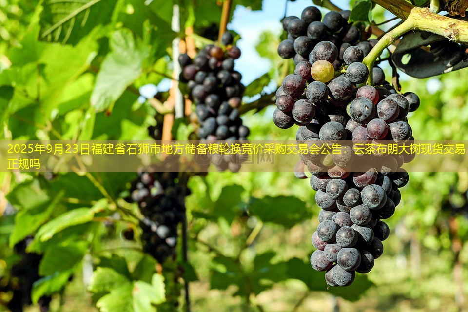 2025年9月23日福建省石狮市地方储备粮轮换竞价采购交易会公告