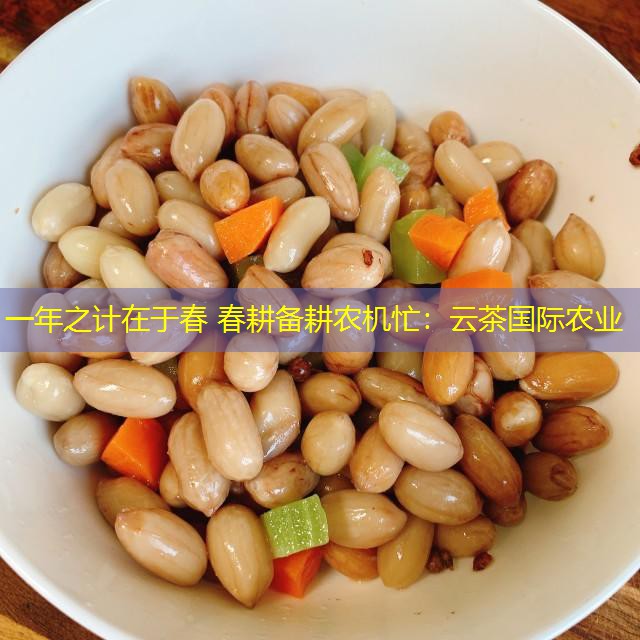 一年之计在于春 春耕备耕农机忙