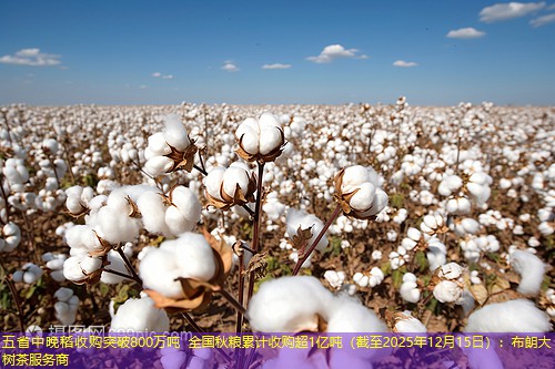 五省中晚稻收购突破800万吨 全国秋粮累计收购超1亿吨（截至2025年12月15日）