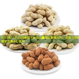 2025年11月15日泰国大米出口量同比激增53%