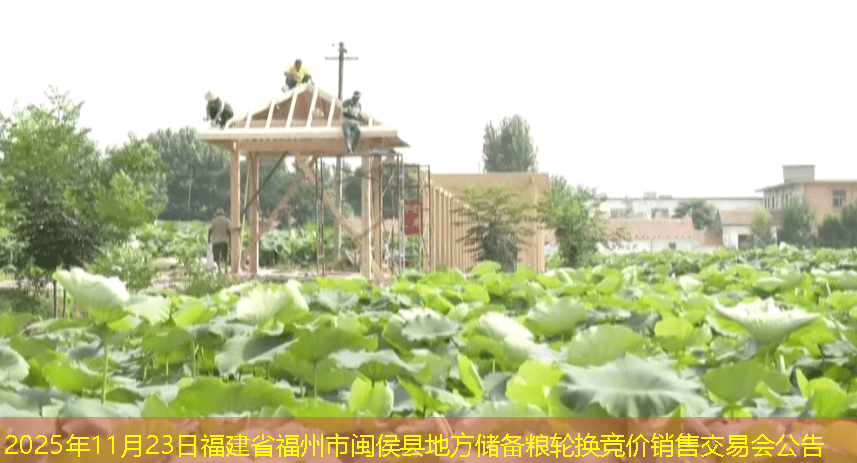 2025年11月23日福建省福州市闽侯县地方储备粮轮换竞价销售交易会公告