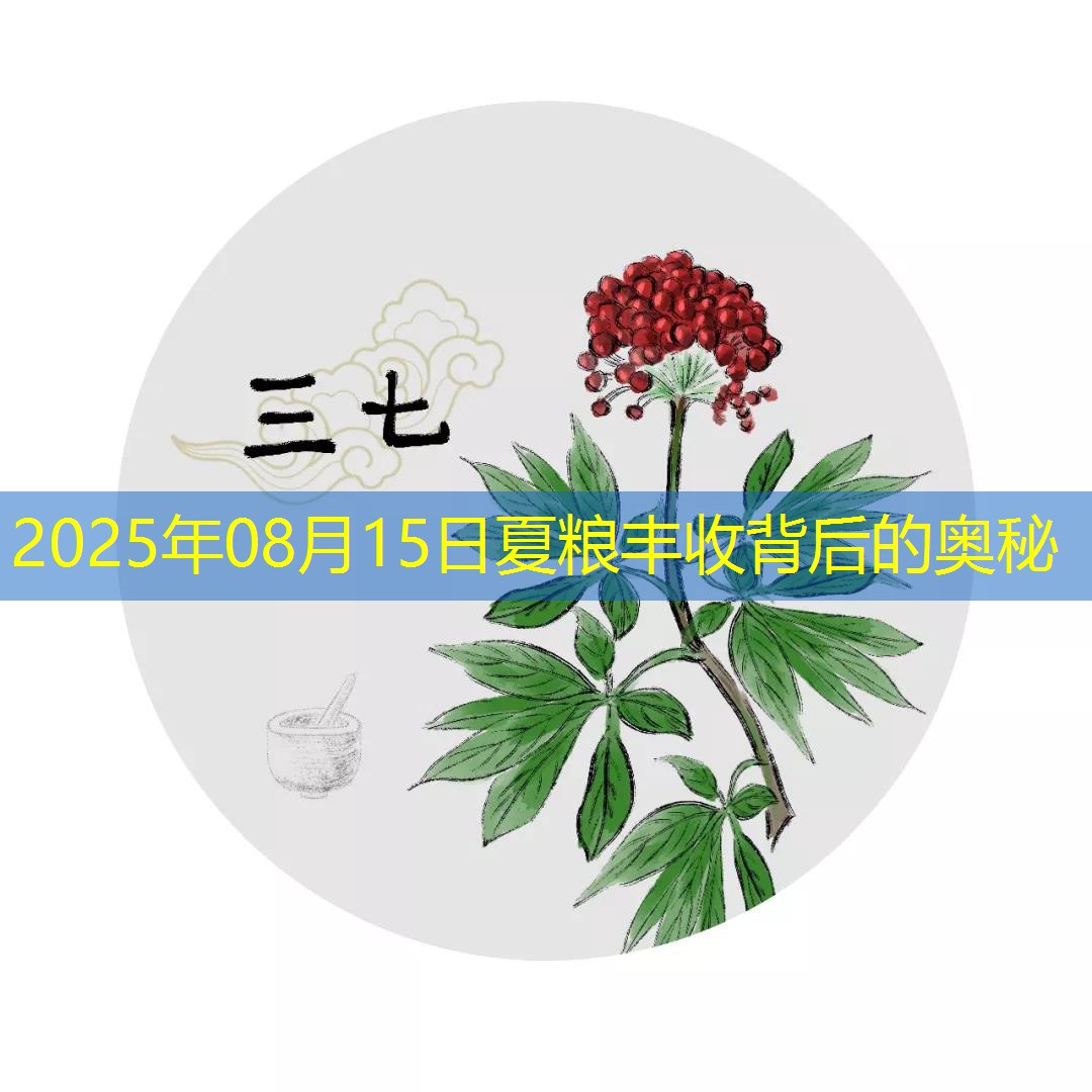 2025年08月15日夏粮丰收背后的奥秘