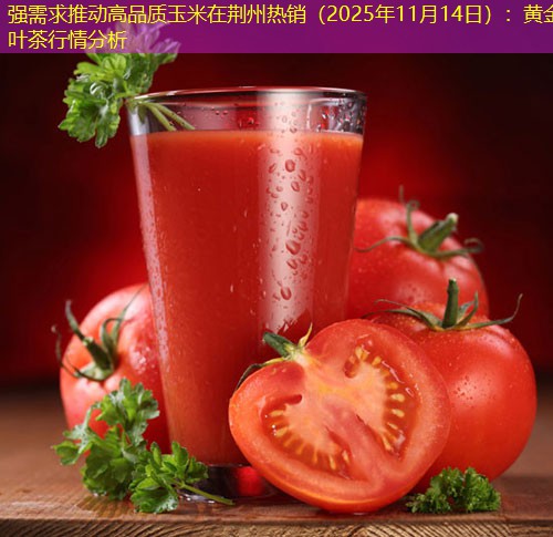 强需求推动高品质玉米在荆州热销（2025年11月14日）