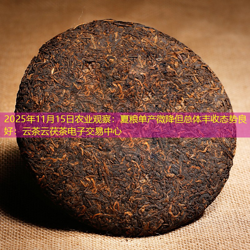 2025年11月15日农业观察：夏粮单产微降但总体丰收态势良好