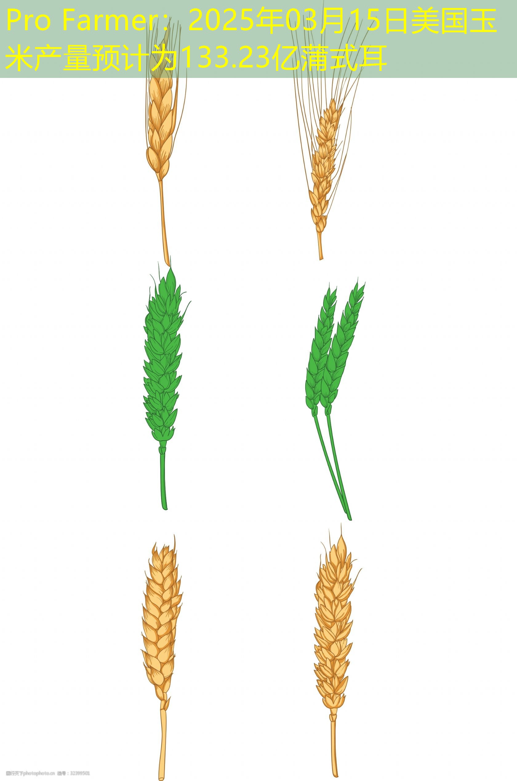 Pro Farmer：2025年03月15日美国玉米产量预计为133.23亿蒲式耳