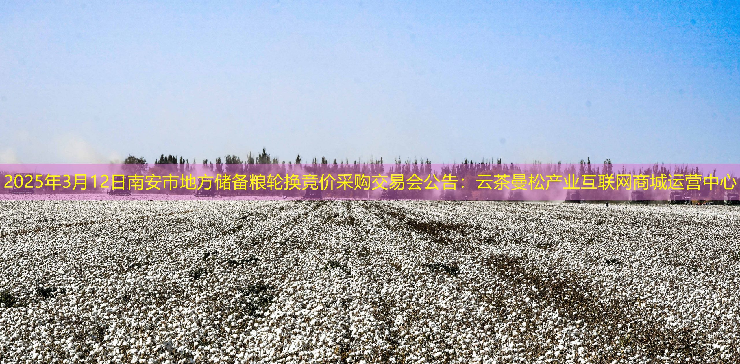 2025年3月12日南安市地方储备粮轮换竞价采购交易会公告