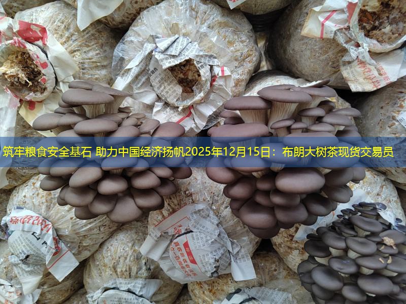 筑牢粮食安全基石 助力中国经济扬帆2025年12月15日