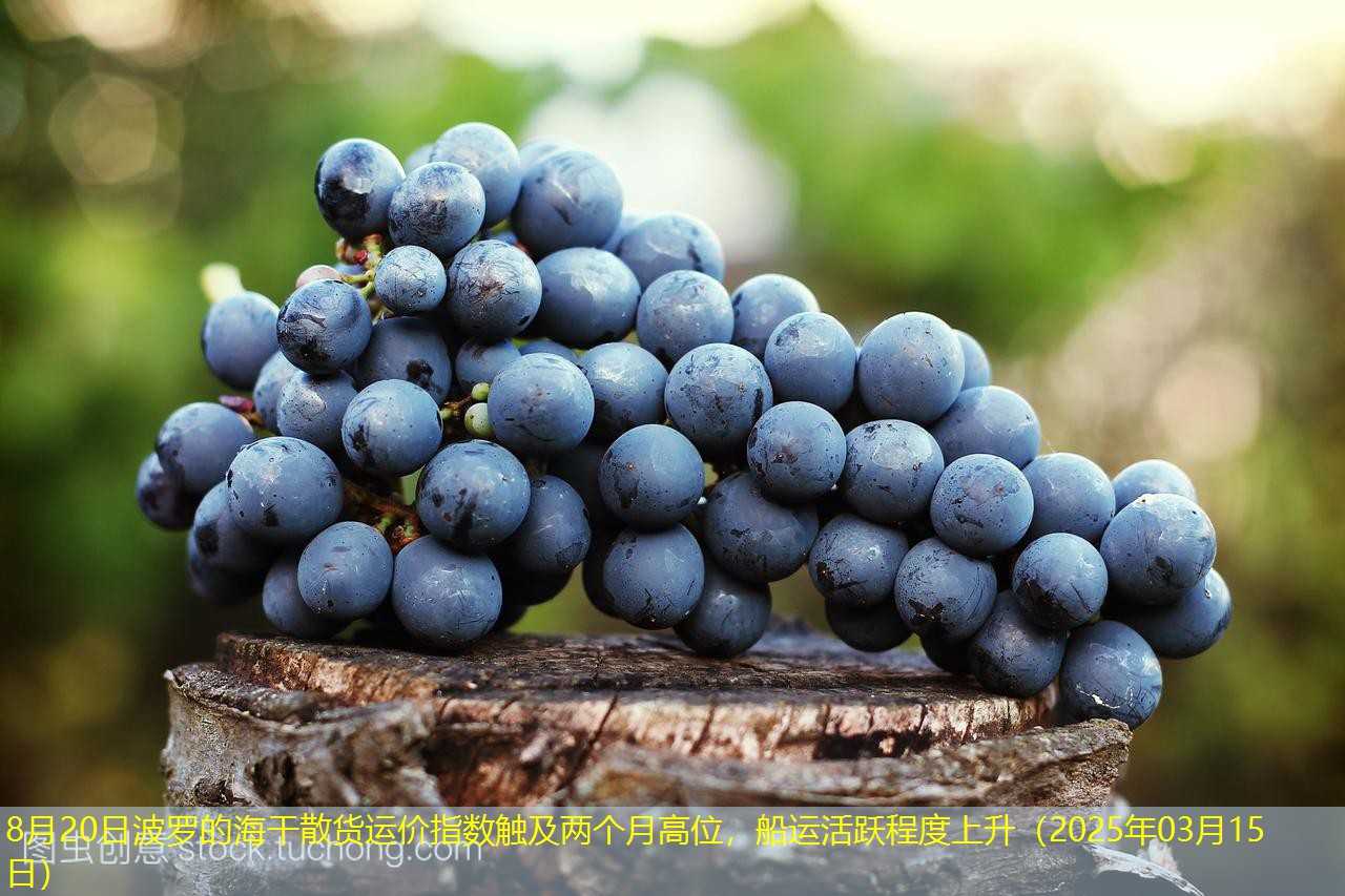 8月20日波罗的海干散货运价指数触及两个月高位，船运活跃程度上升（2025年03月15日）