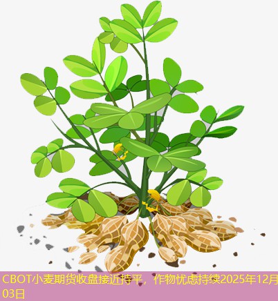CBOT小麦期货收盘接近持平，作物忧虑持续2025年12月03日