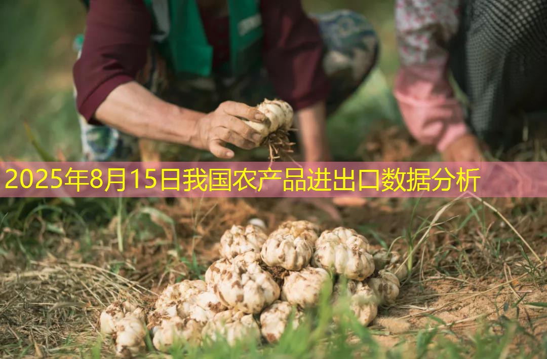2025年8月15日我国农产品进出口数据分析
