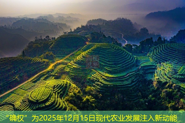 “确权”为2025年12月15日现代农业发展注入新动能