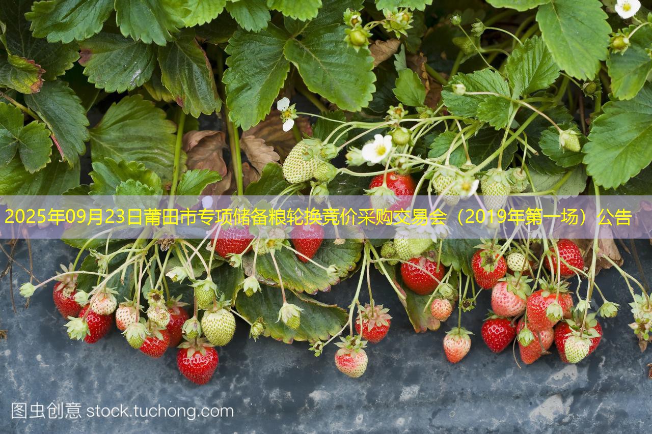 2025年09月23日莆田市专项储备粮轮换竞价采购交易会（2019年第一场）公告