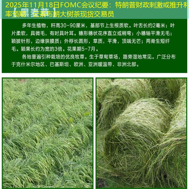 2025年11月18日FOMC会议纪要：特朗普财政刺激或推升利率预期