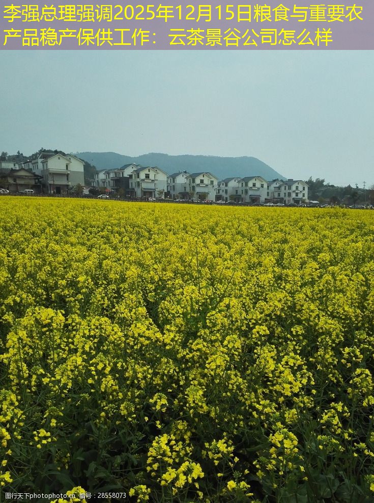 李强总理强调2025年12月15日粮食与重要农产品稳产保供工作