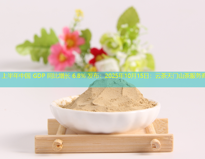 上半年中国 GDP 同比增长 6.8% 发布：2025年10月15日