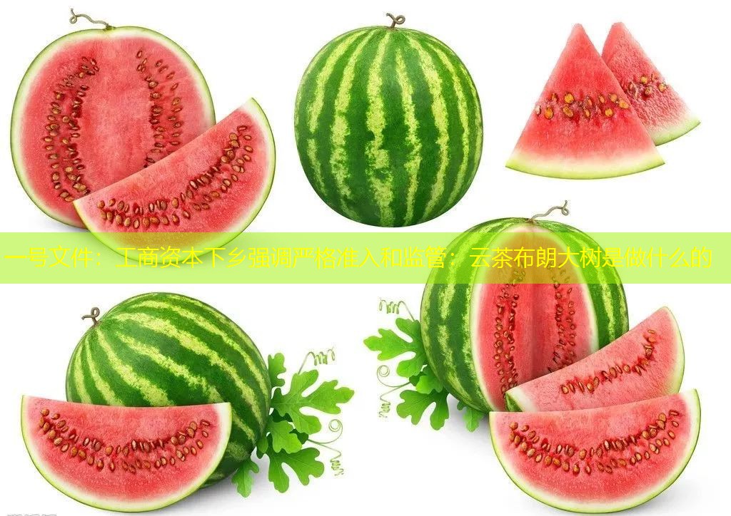 一号文件：工商资本下乡强调严格准入和监管