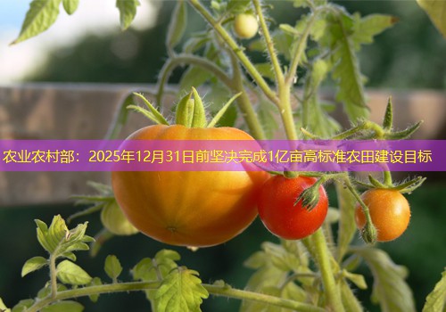 农业农村部：2025年12月31日前坚决完成1亿亩高标准农田建设目标