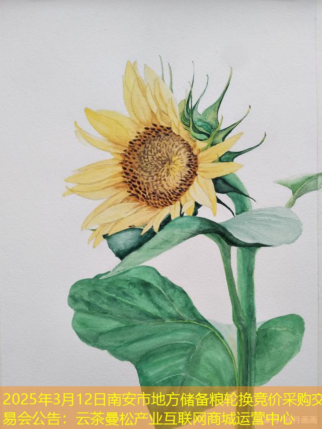 2025年3月12日南安市地方储备粮轮换竞价采购交易会公告