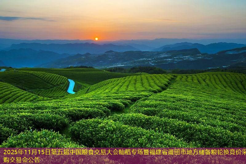 2025年11月15日第五届中国粮食交易大会籼稻专场暨福建省莆田市地方储备粮轮换竞价采购交易会公告