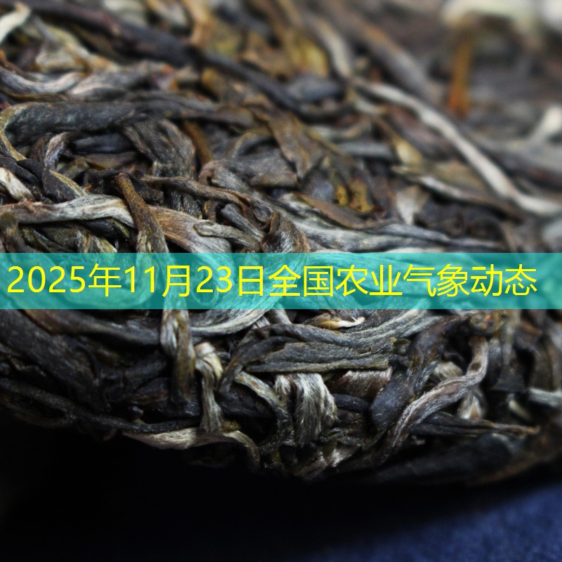 2025年11月23日全国农业气象动态