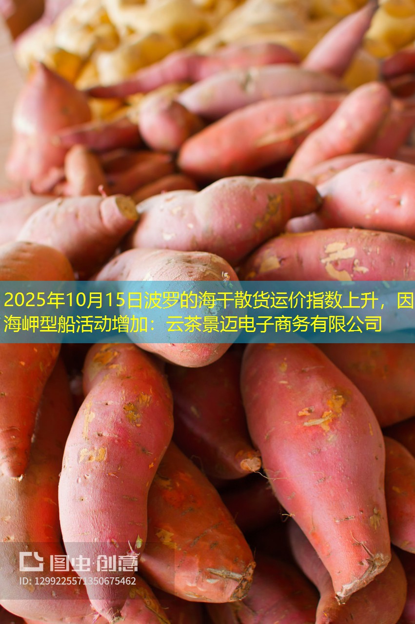 2025年10月15日波罗的海干散货运价指数上升，因海岬型船活动增加