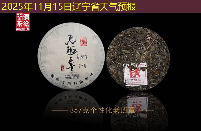 2025年11月15日辽宁省天气预报