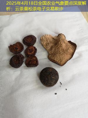 2025年4月18日全国农业气象要点深度解析