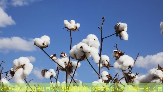 2025年09月23日莆田市专项储备粮轮换竞价采购交易会（2019年第一场）公告