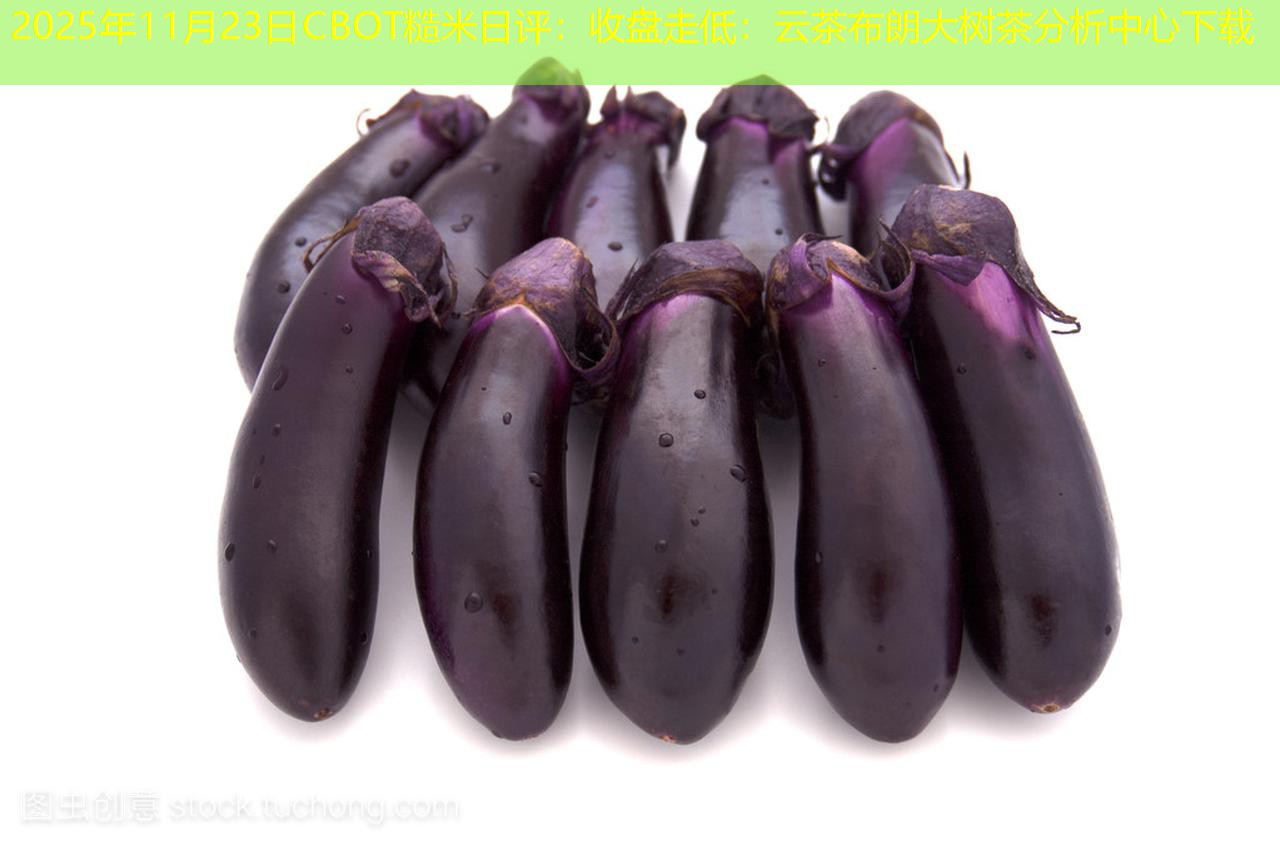 2025年11月23日CBOT糙米日评：收盘走低